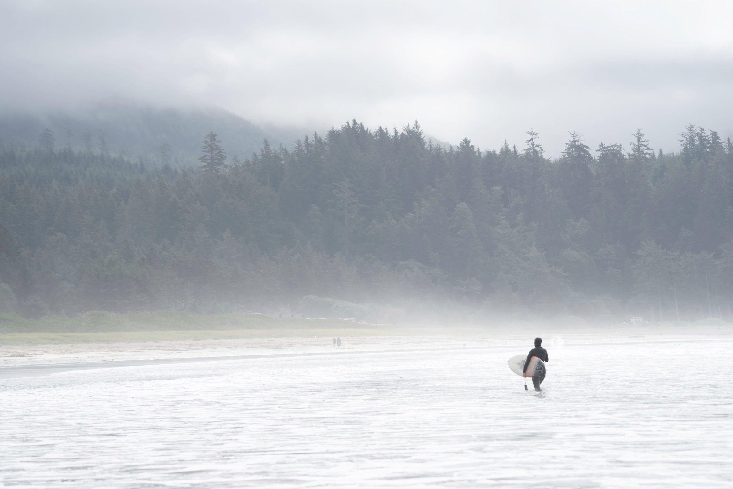 foggy beach surfer